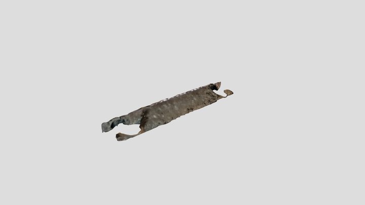 New Qlone 3D Model