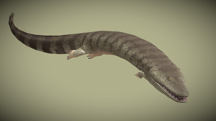 Greererpeton burkemorani – Kostenloses 3D-Modell STL