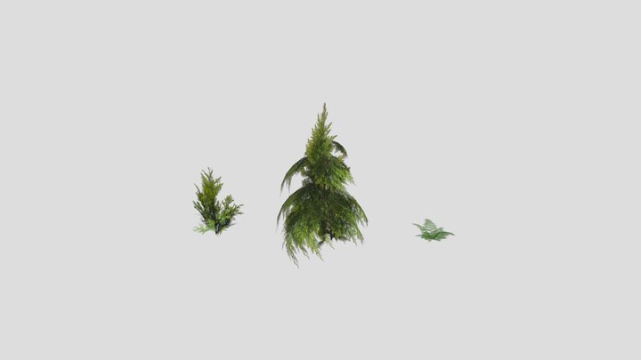 medium and small sized plants 3D Model