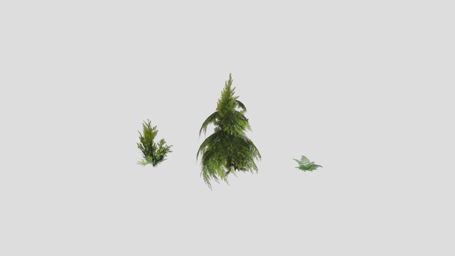 medium and small sized plants