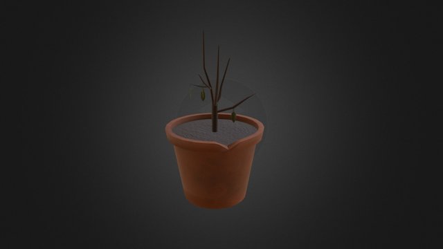 Dead Plant 3D Model