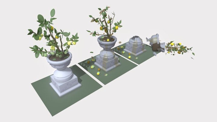 Lemon tree 3D Model