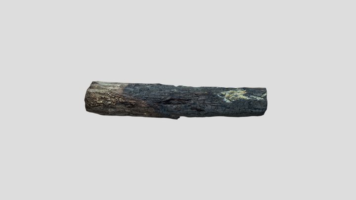 Firewood 0001 3D Model