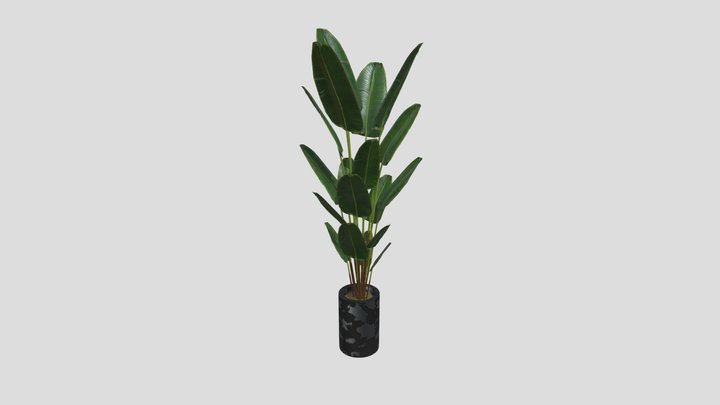 Banana Leaf Apartment Plant – Modello 3D gratuito STL
