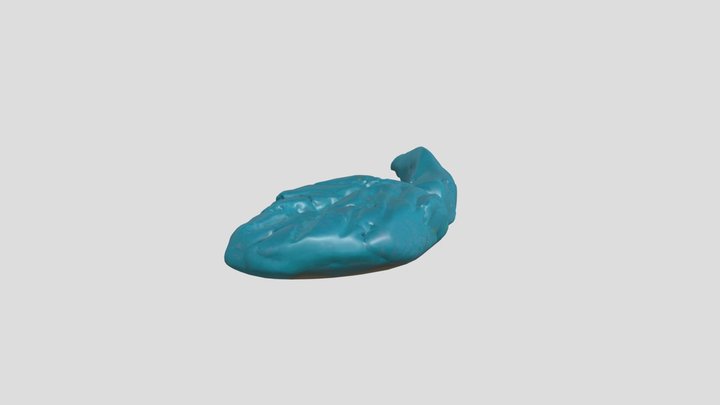 blue leaf – Modello 3D gratuito STL