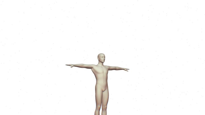 Male 3D Model