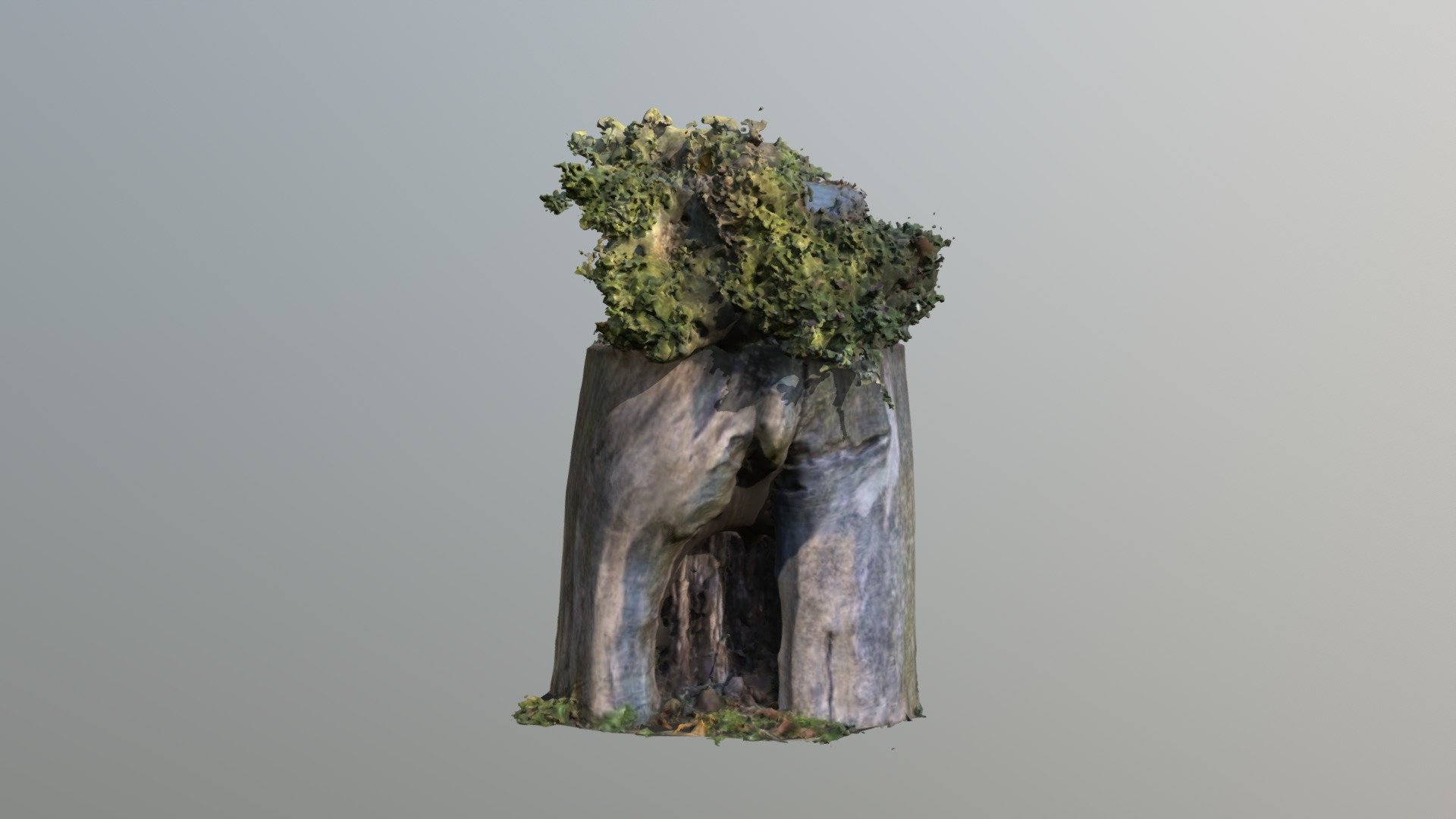 Flowers in a vase on a tree stump