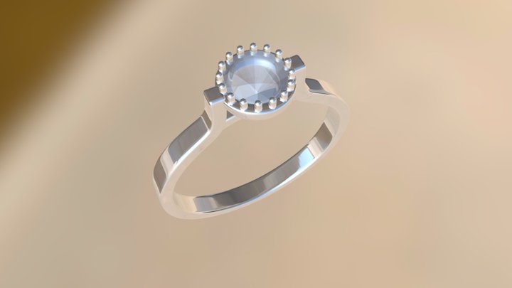 Ring 3D Model