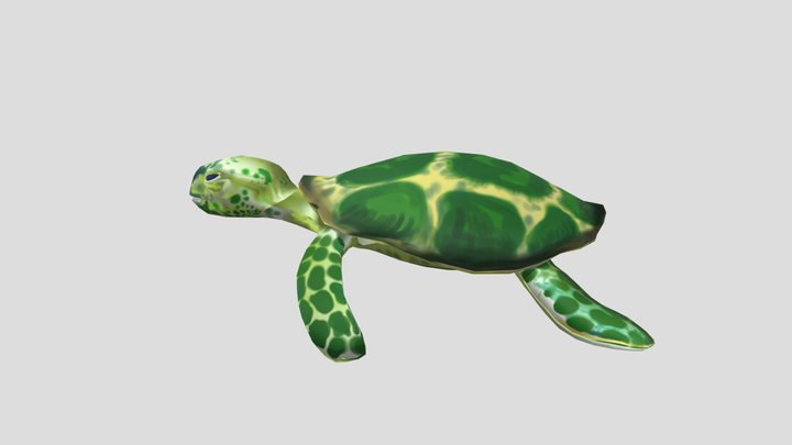 Tortuga-Texturizado-proyecto 3D Model
