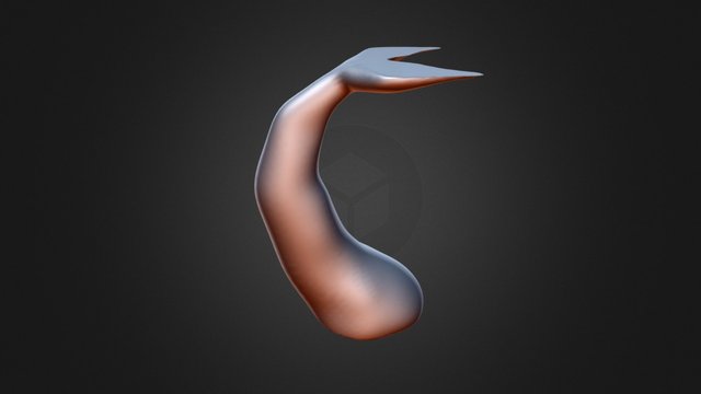 Tail Table 3D Model