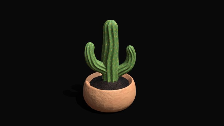 Succulent Cactus 3D Model