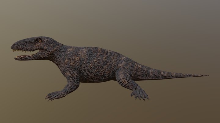 Ophiacodon