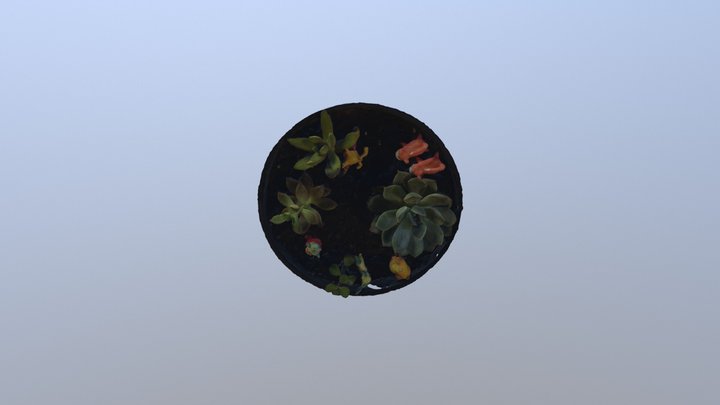 pokeforest 3 3D Model