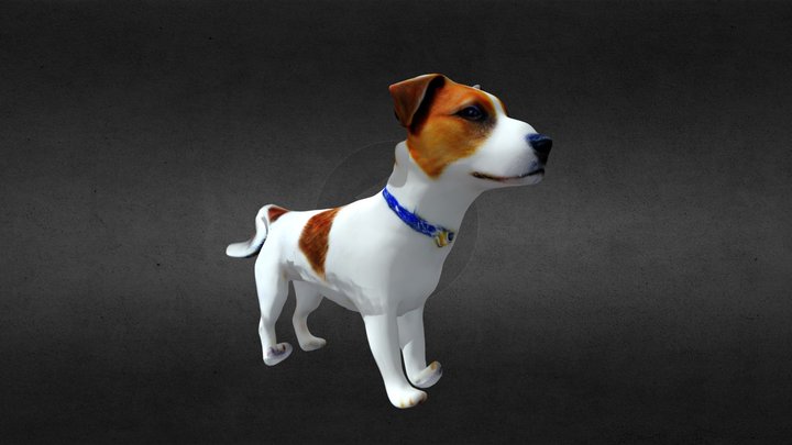 Jack Russel Terrier (Animated) 3D Model