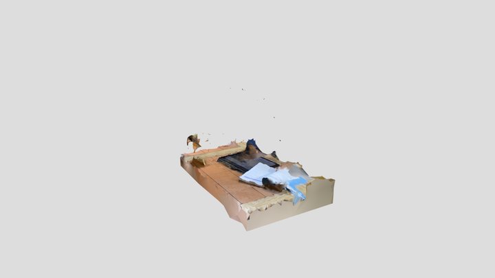 Scan 2022-12-03T09:17:53.566Z 3D Model