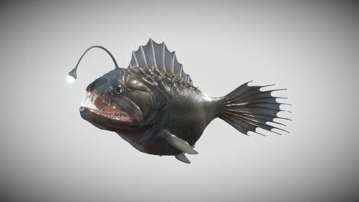 Angler-fish 3D models - Sketchfab