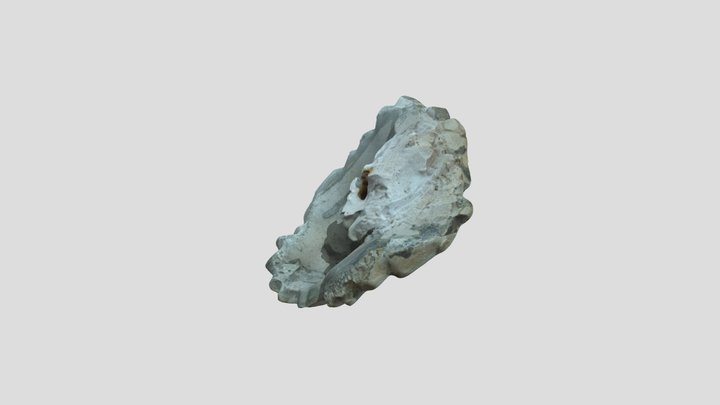 Adonis (fig leaf) 3D Model