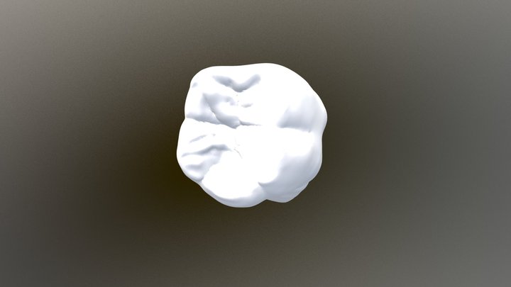 Okamoto-6 3D Model