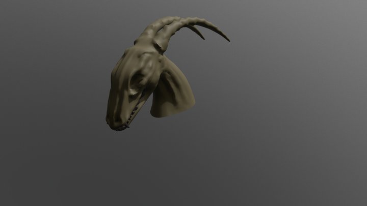 Organic Model 3D Model