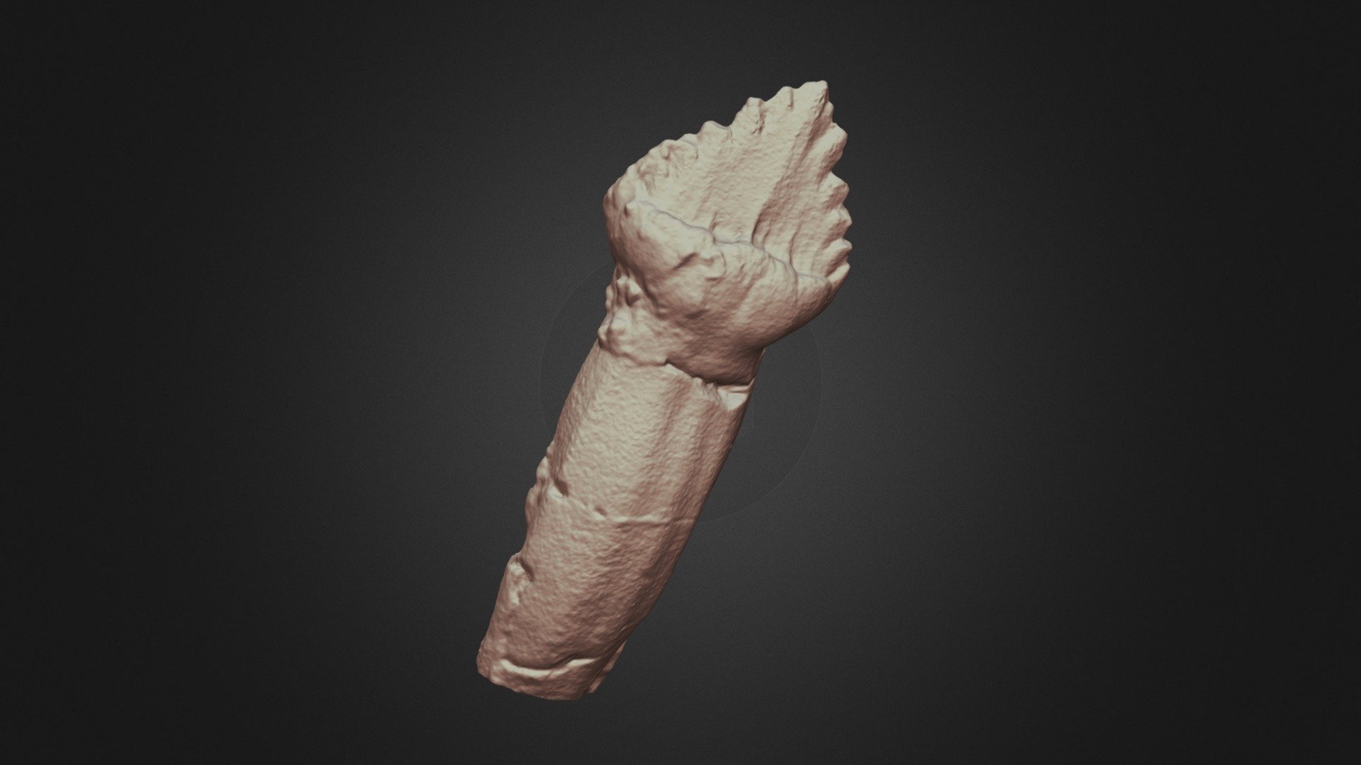 Hungarosaurus tormai tooth / fog