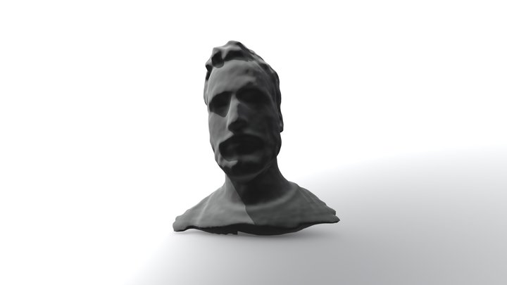 Self portrait 3D Model