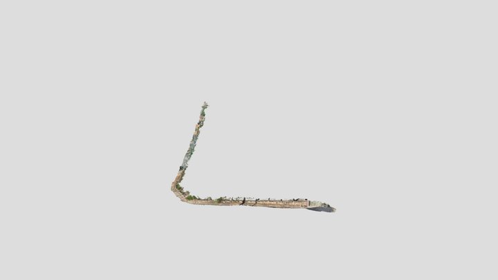 New Model 3D Model