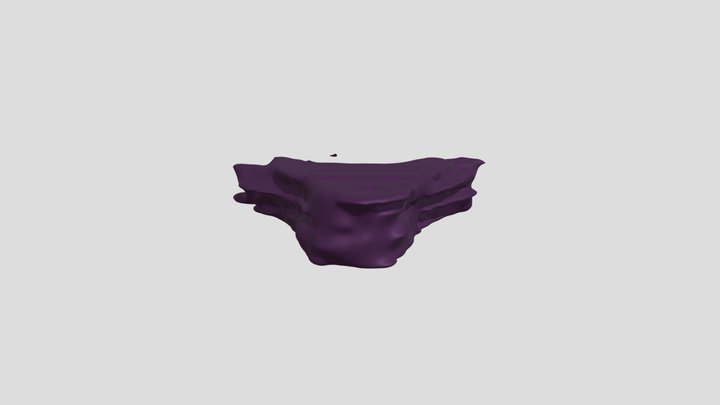 Thoracic Vertebrae 3D Model