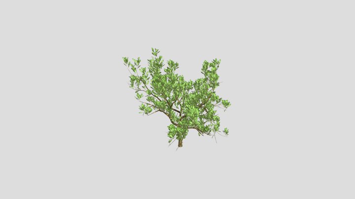 Bush – Free 3D Model STL