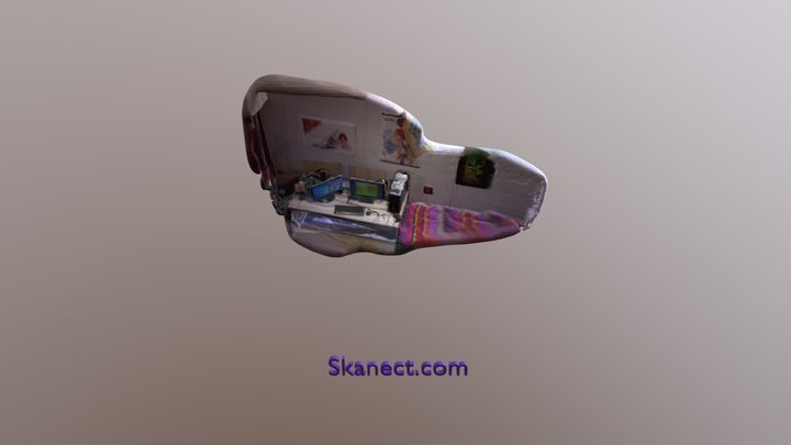 Skanect-desk 3D Model