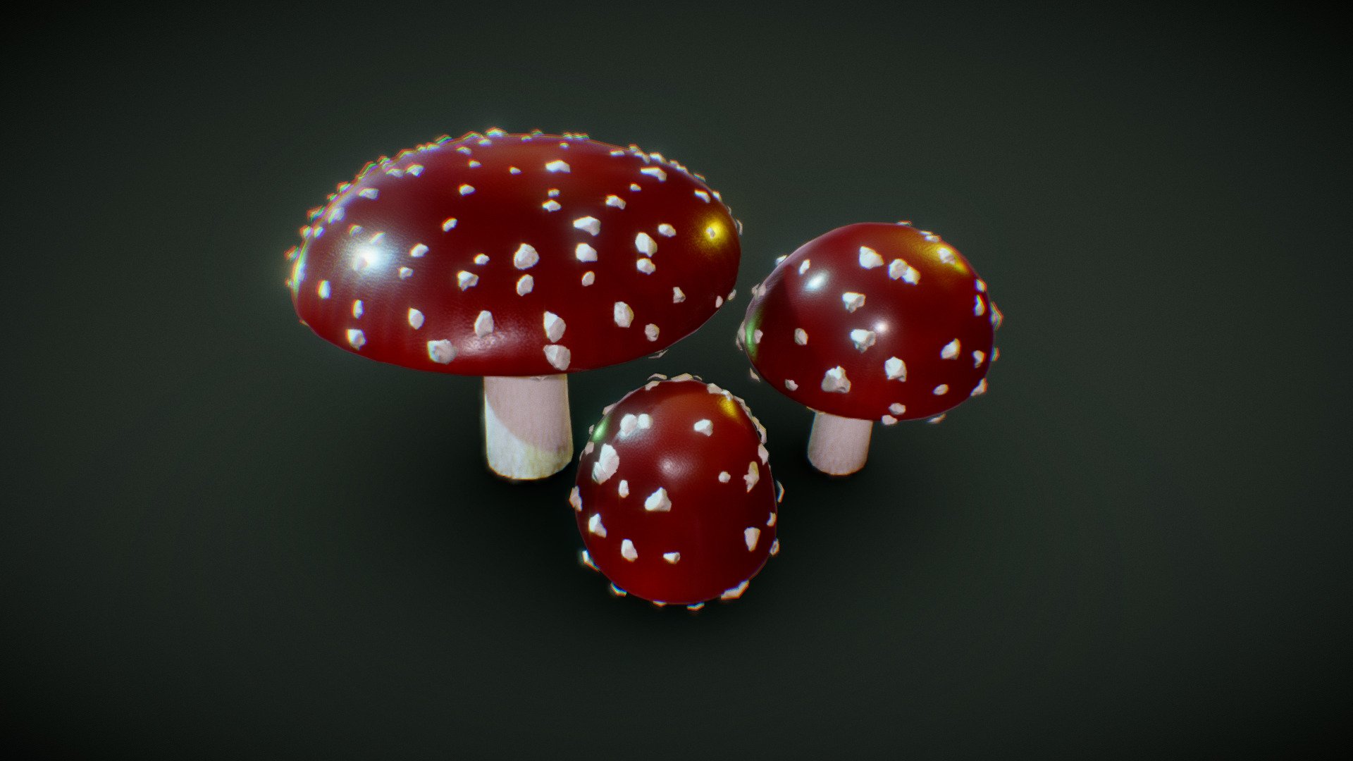 3December 2021 - Toadstool