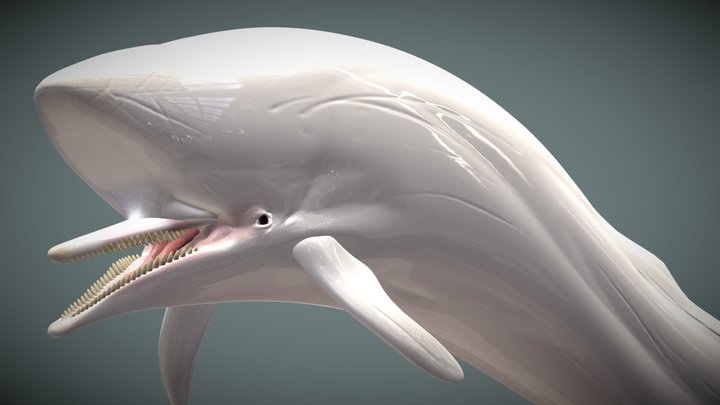 Dart Whale (Fantasy) 3D Model