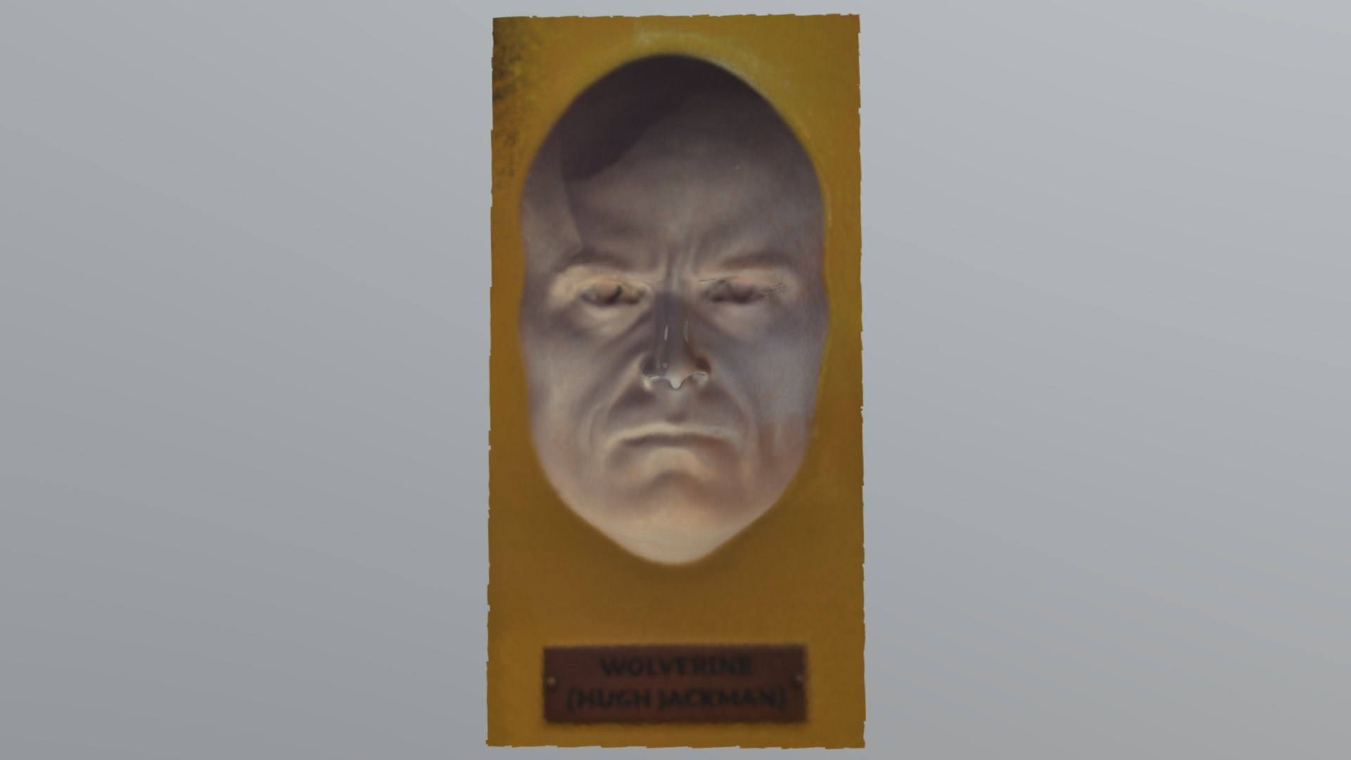 Hugh Jackman Face Mold