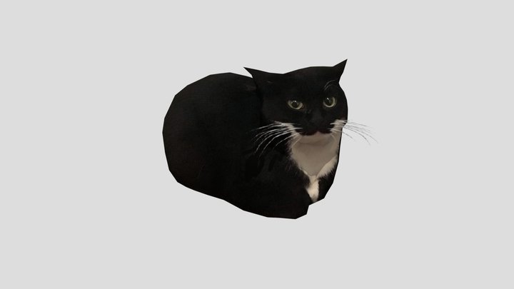 Maxwell 3D Model
