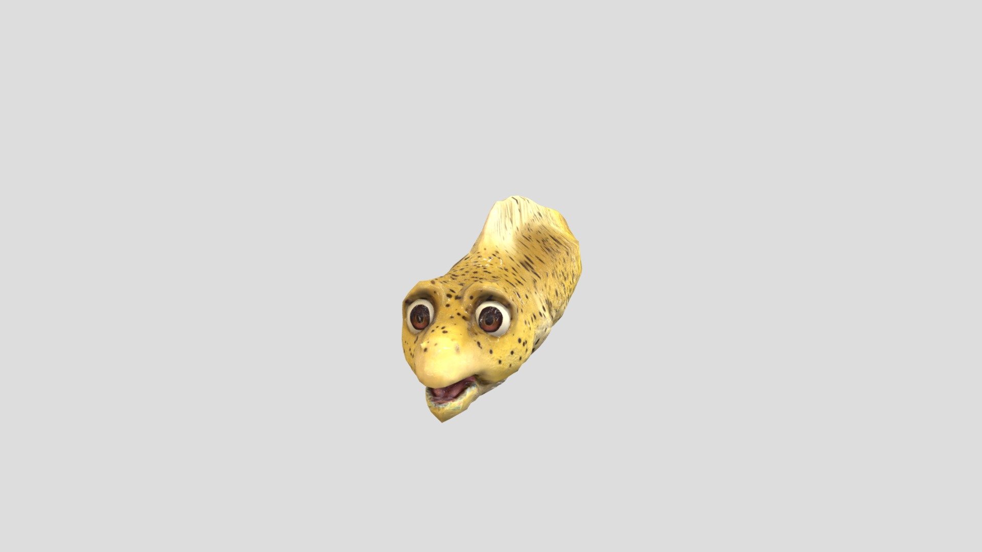 Moray eel- Fishy
