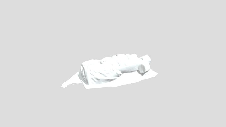 Anatomical_Model 3D Model