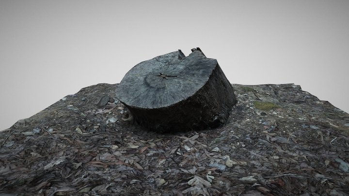 Small Nature Scene 3D Model
