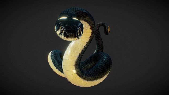 Snake 3D Model