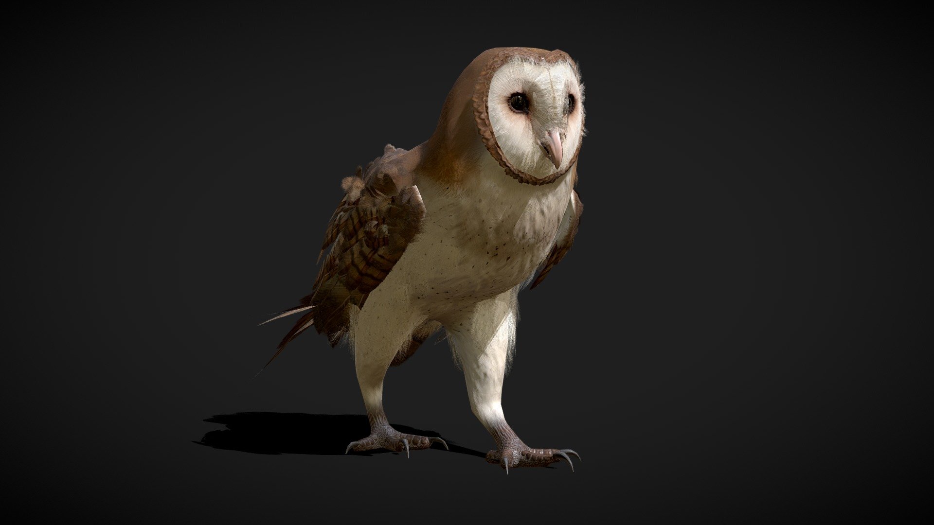 3D model Bubo the Owl VR / AR / low-poly