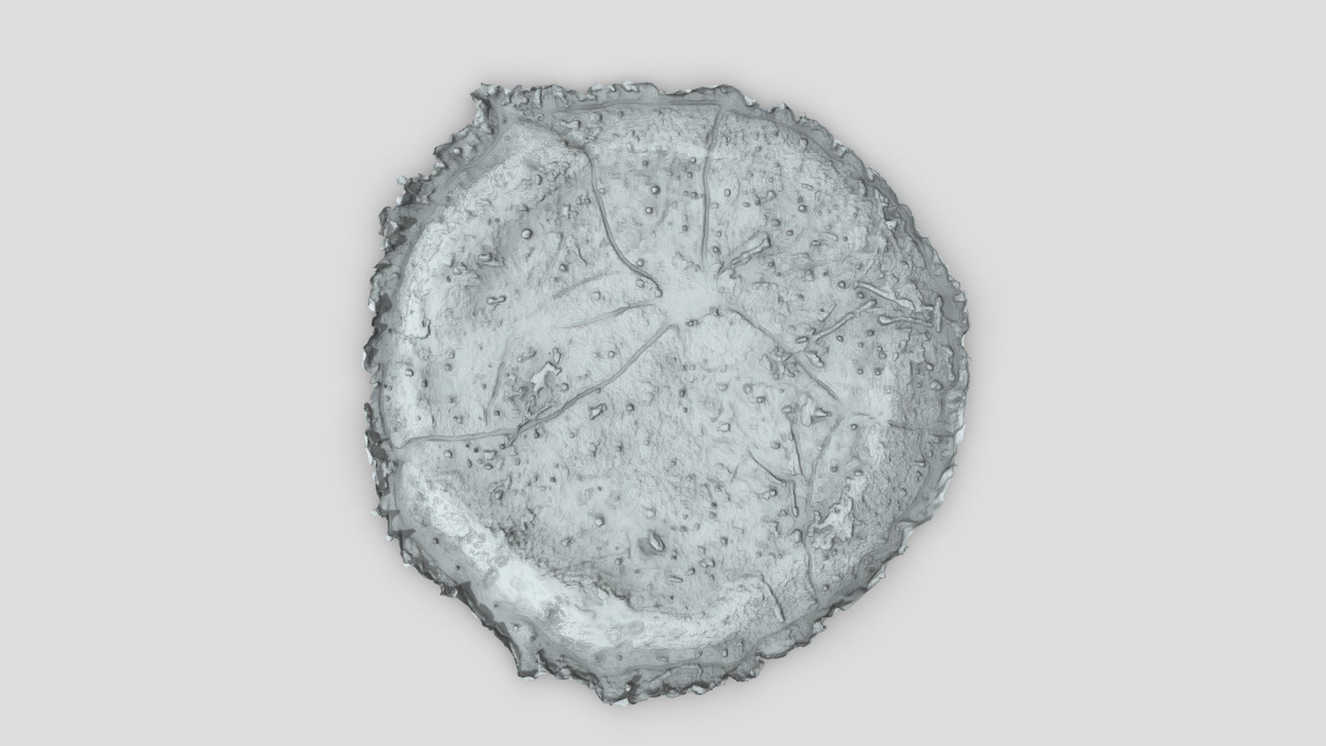 Lesingey Round: digital surface model