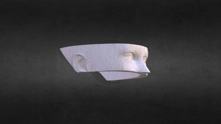 3D Printing Head Scan 3D Model