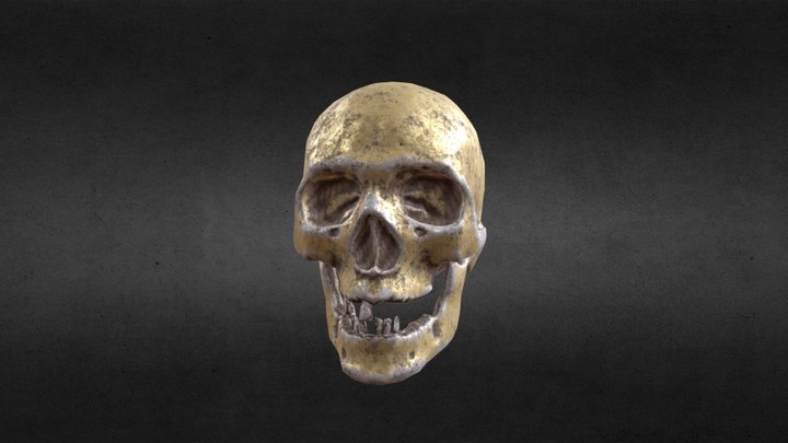 skull beans 3D Model