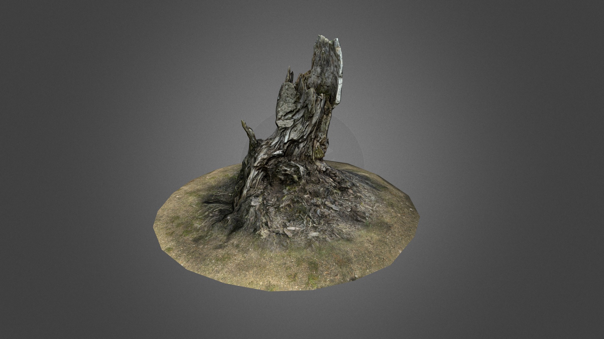3D model Stump 03 - This is a 3D model of the Stump 03. The 3D model is about a close-up of a fruit.