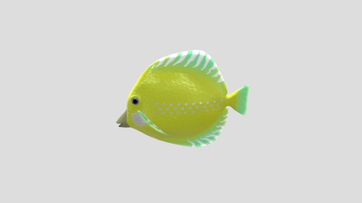 Fish 3D Model