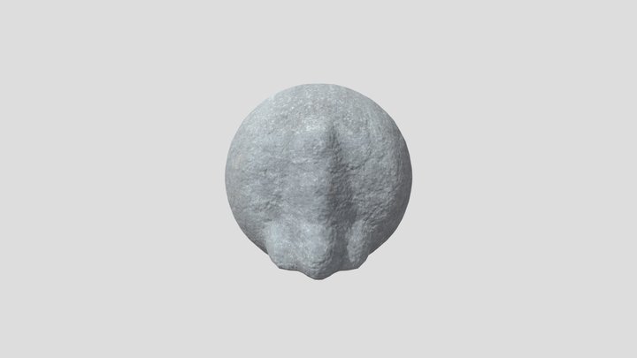 Rock Nose 3D Model