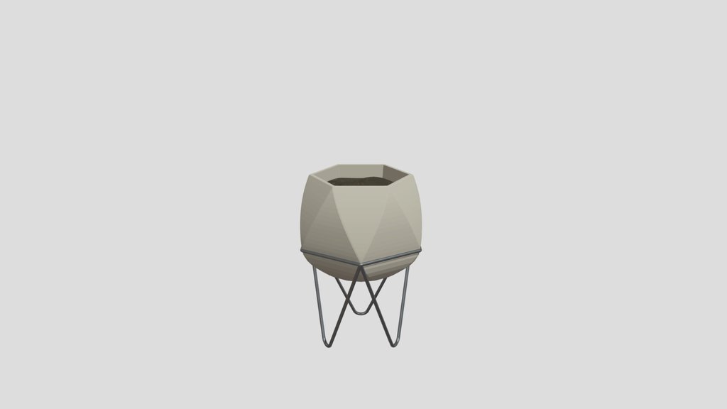 Faceted Modern Plant