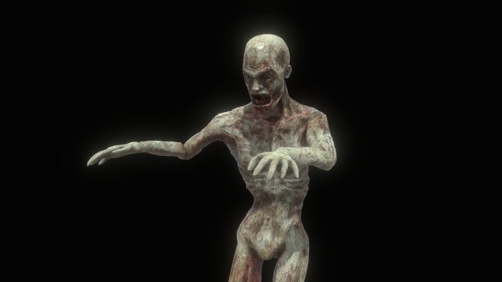 Zombie (Rigged & Animated) 3D Model