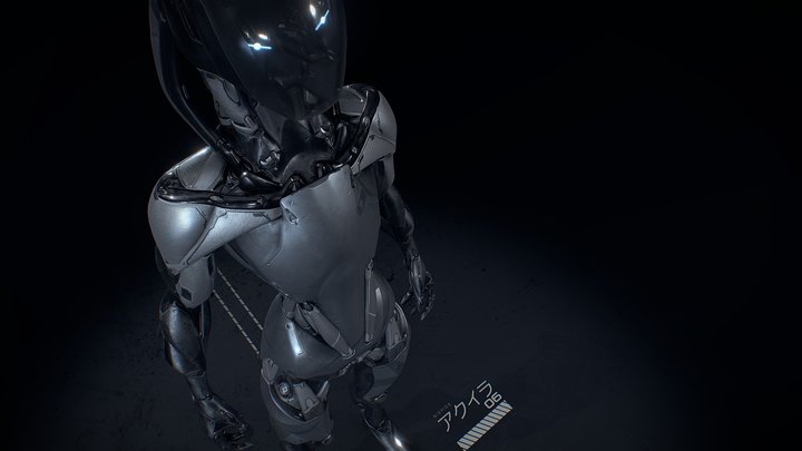 Aquila robot 3D Model