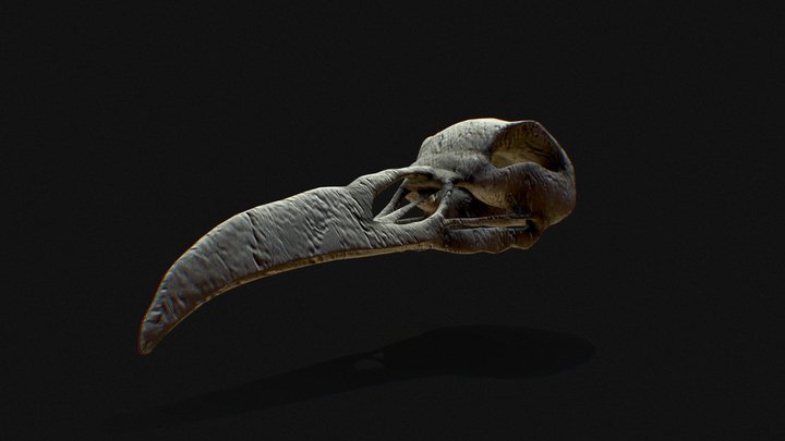 Khonshu skull 3D Model