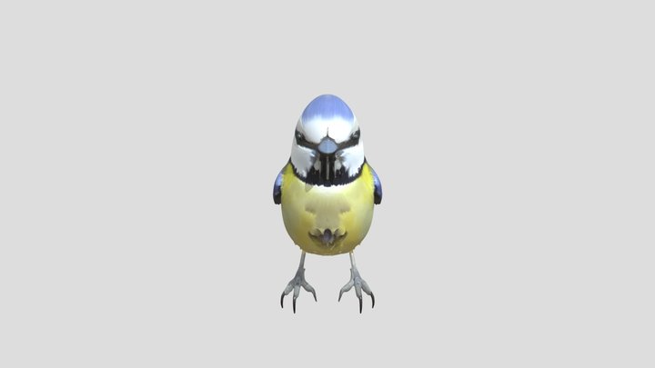 Eurasian blue tit 3D Model