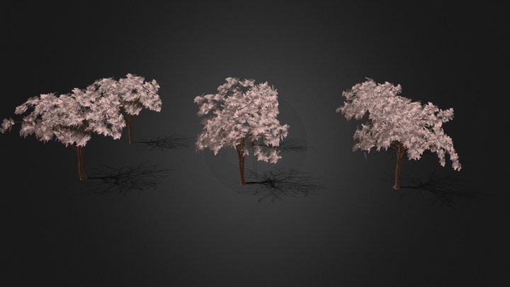 Cherry Tree Variations With Low Poly Variants – Modello 3D gratuito STL
